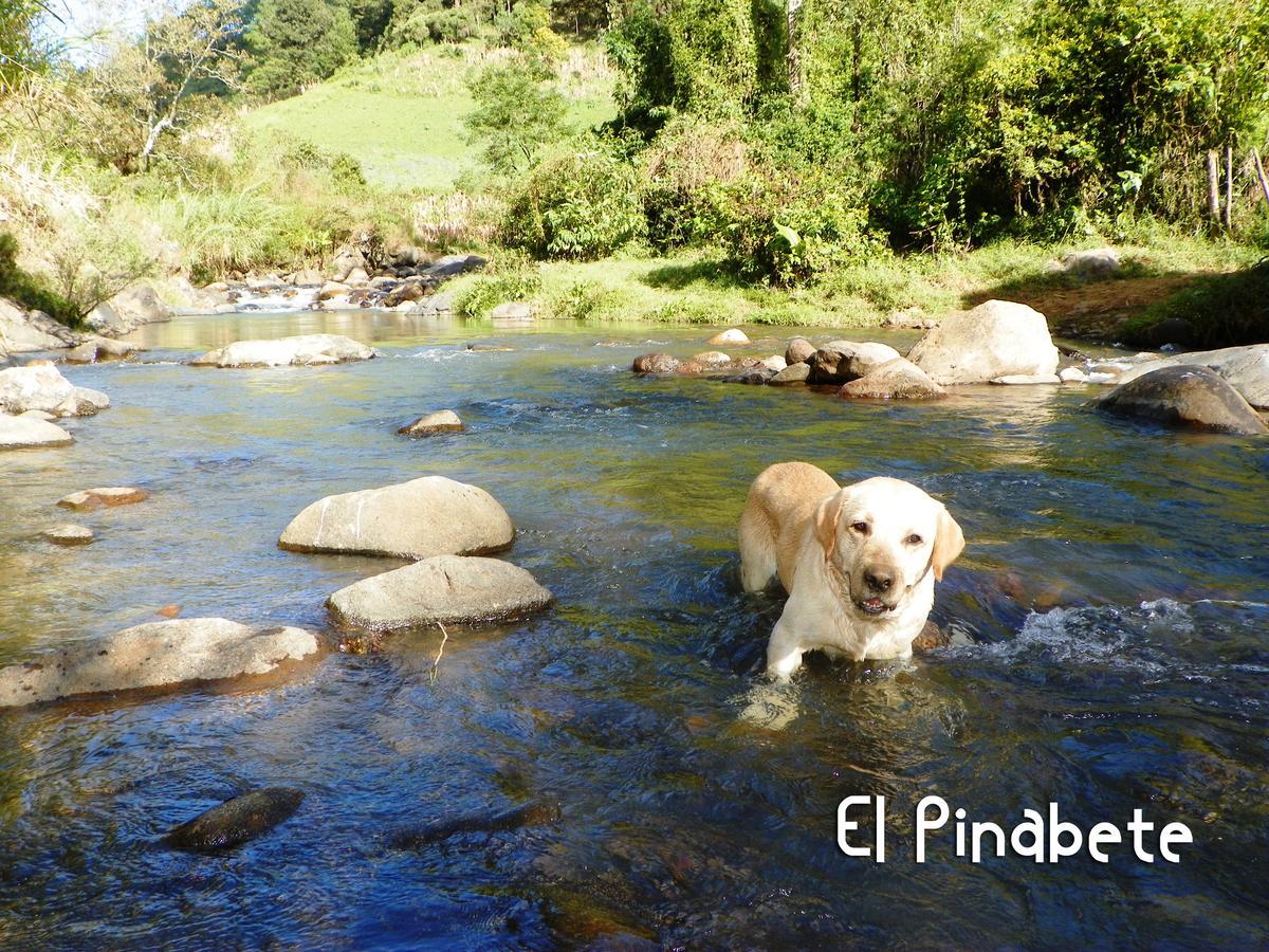 El Pinabete Finca & Cabanas Hotell San Salvador Eksteriør bilde